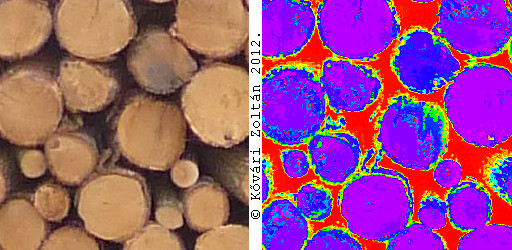 Two-part image showing
first wood logs stacked and photographed axially, then the same image with
color overlay by computer analysis.