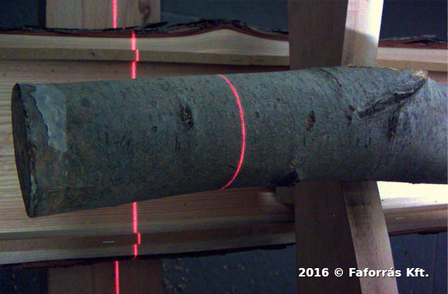 Image showing a wood log
laying longitudinally in an artificial environment, and a line-shaped
laser beam coming from above.